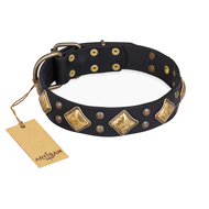 "Fancy-Schmancy" FDT Artisan Studded Leather Boxer Collar