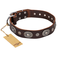 "Extra Pizzazz" FDT Artisan Adorned Brown Leather Boxer Collar