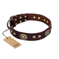 "Breath of Elegance" FDT Artisan Decorated with Plates Brown Leather Boxer Collar