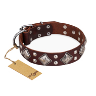 "King of Grace" FDT Artisan Stylish Leather Boxer Collar with Old Silver-Like Plated Decorations
