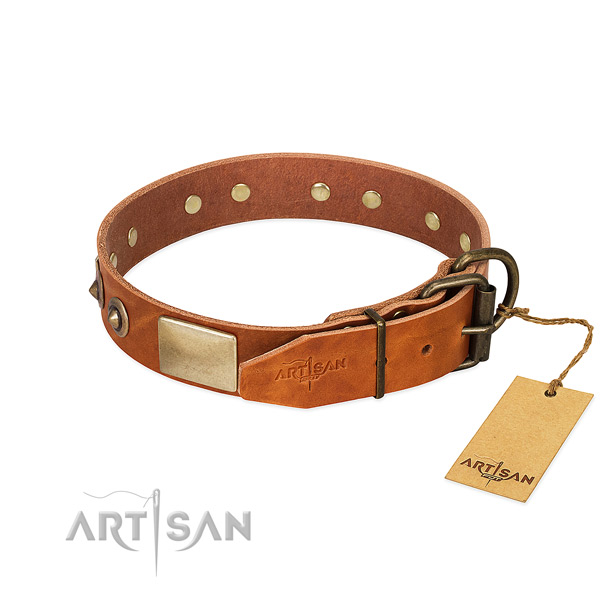 Strong decorations on comfortable wearing dog collar