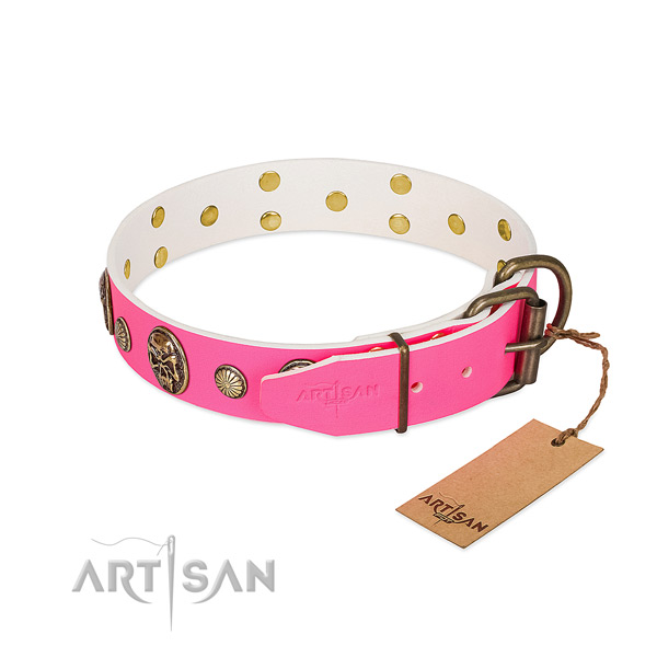 Corrosion resistant traditional buckle on full grain genuine leather dog collar for your dog