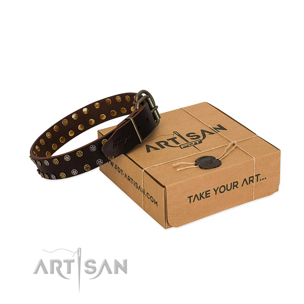 Stylish walking quality full grain leather dog collar with embellishments