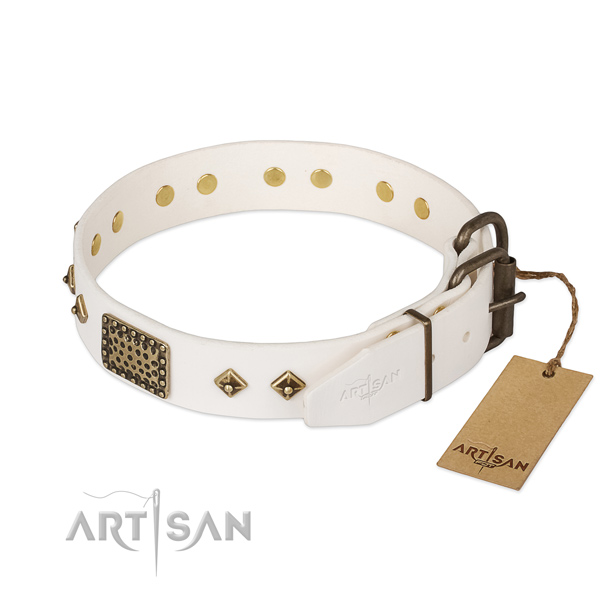 Leather dog collar with strong traditional buckle and studs