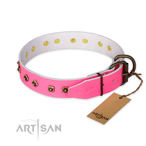 Durable D-ring on leather collar for everyday walking your dog