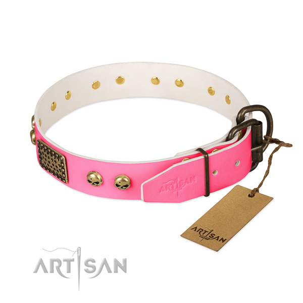 Strong studs on handy use dog collar
