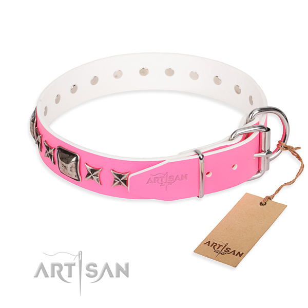 Strong decorated dog collar of full grain natural leather