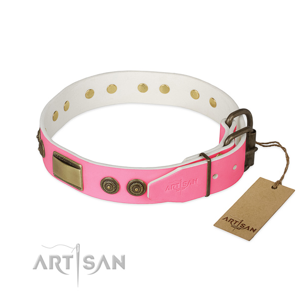 Strong fittings on basic training dog collar