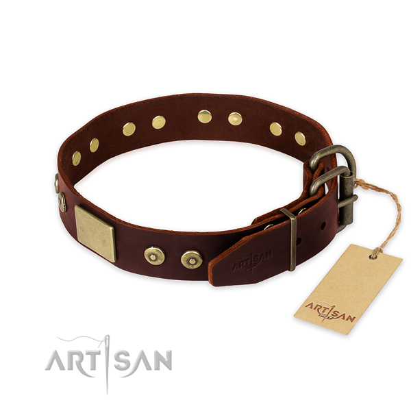 Strong fittings on basic training dog collar