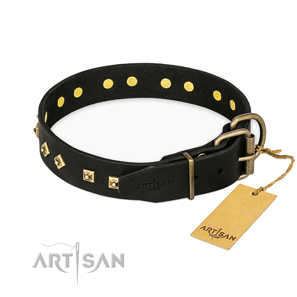 Strong buckle on genuine leather collar for daily walking your pet