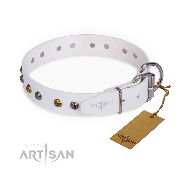Full grain genuine leather dog collar with unusual rust resistant adornments