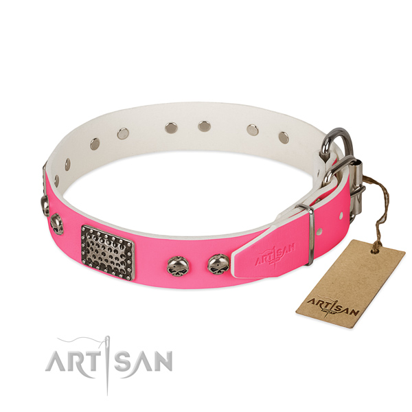 Corrosion resistant studs on comfy wearing dog collar