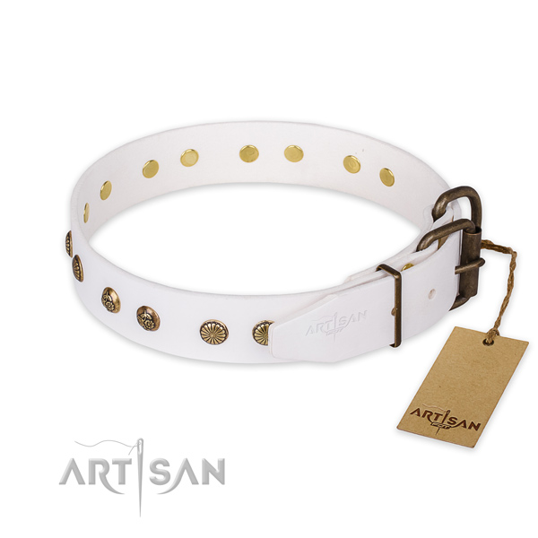 Strong buckle on leather collar for your handsome four-legged friend