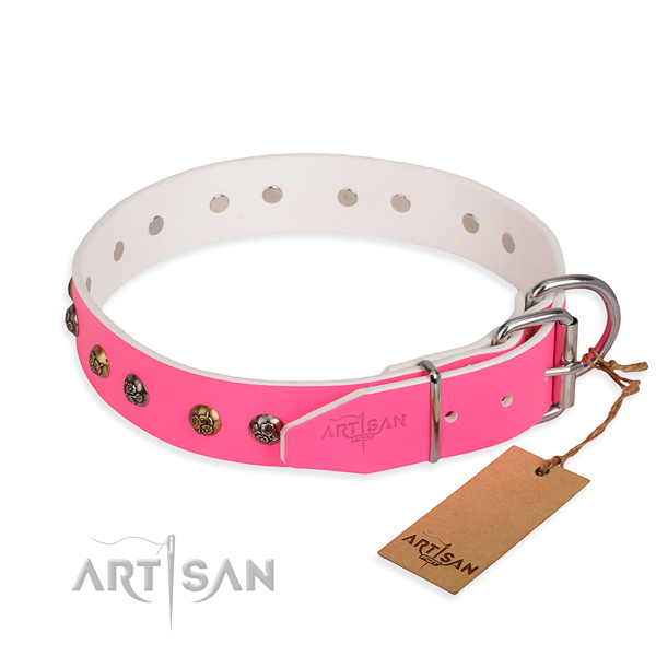 Natural leather dog collar with fashionable reliable adornments