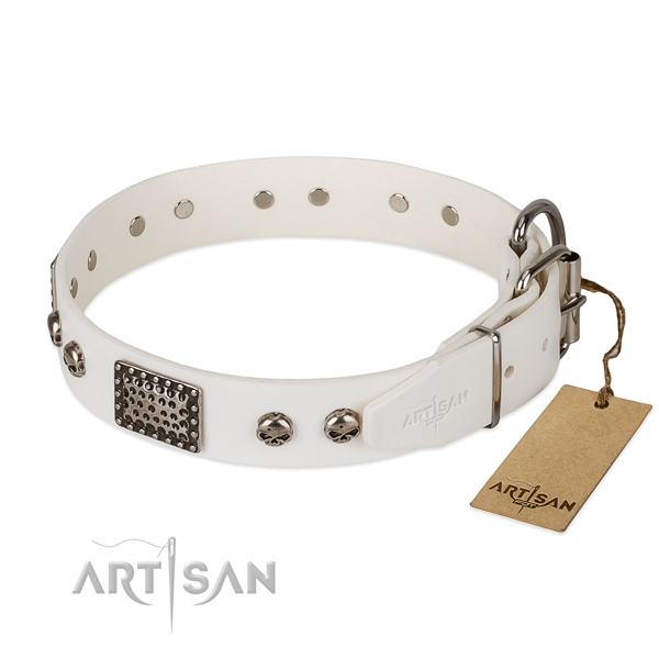 Strong embellishments on daily walking dog collar