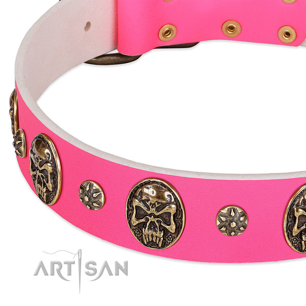 Perfect fit dog collar crafted for your attractive doggie