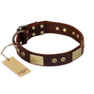"Shining Armour" FDT Artisan Brown Leather Boxer Collar with Decorations