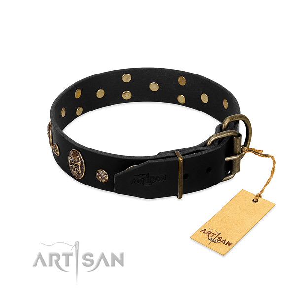 Corrosion proof traditional buckle on full grain leather dog collar for your dog