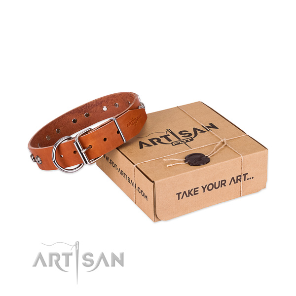 Corrosion resistant fittings on dog collar for stylish walking