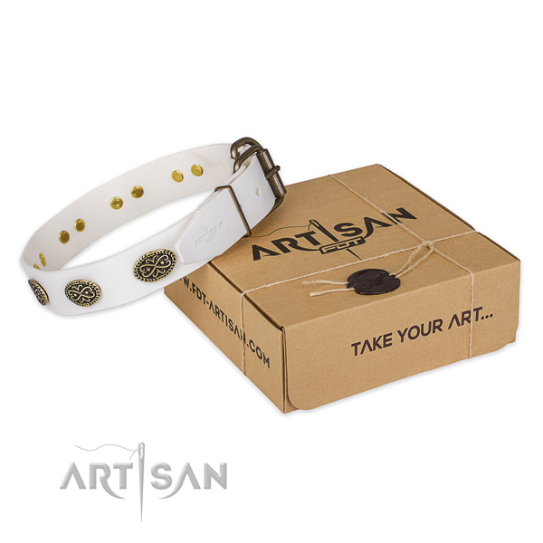 Rust resistant D-ring on genuine leather dog collar for comfy wearing
