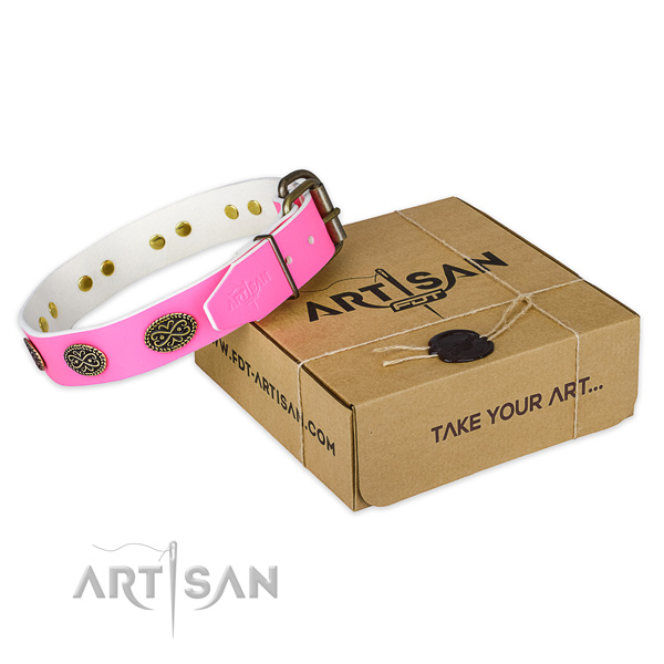 Durable fittings on dog collar for comfortable wearing