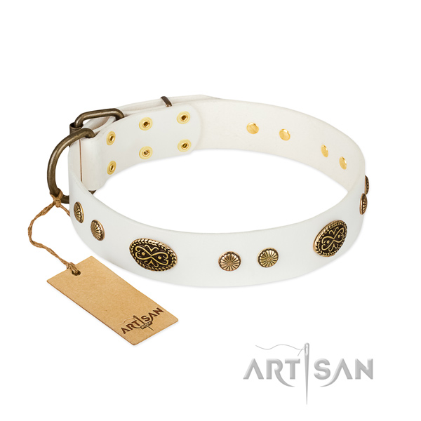 Reliable fittings on full grain leather dog collar for your four-legged friend