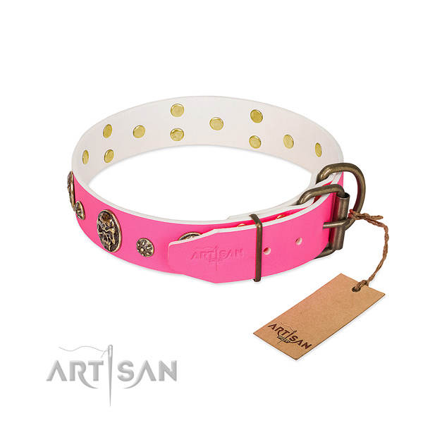 Durable traditional buckle on full grain leather collar for stylish walking your doggie