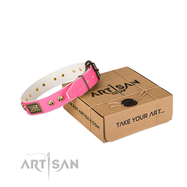 Corrosion proof adornments on dog collar for everyday use