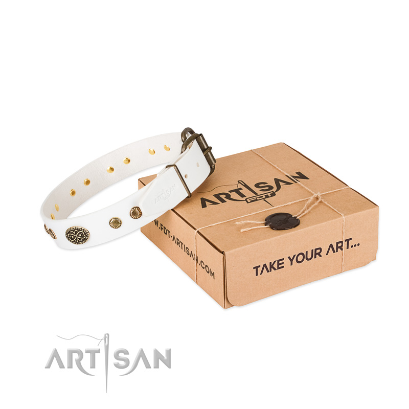 Durable traditional buckle on leather dog collar for your doggie