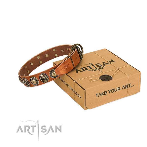 Corrosion resistant fittings on dog collar for daily use