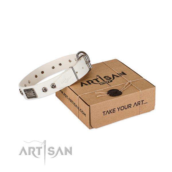 Reliable embellishments on dog collar for handy use