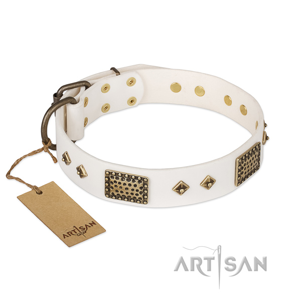 Amazing genuine leather dog collar for handy use