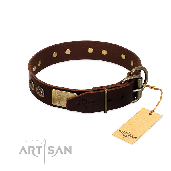 Corrosion resistant studs on genuine leather dog collar for your canine
