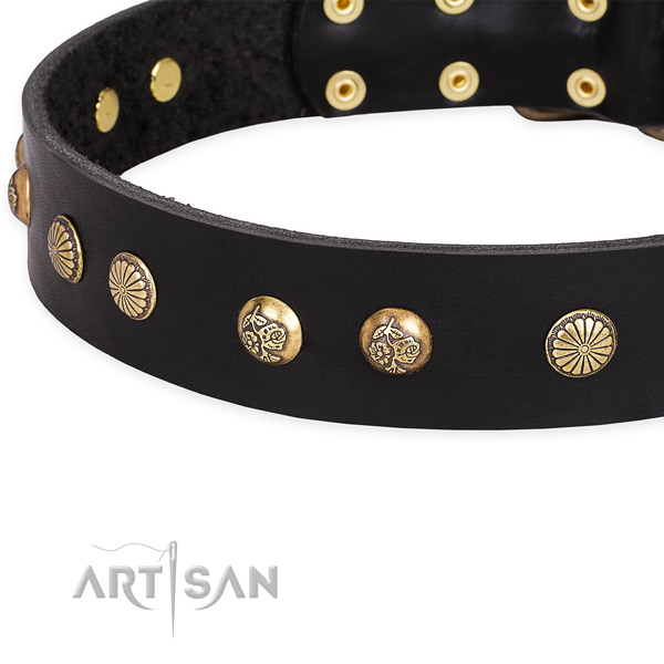 Full grain natural leather collar with durable D-ring for your stylish dog