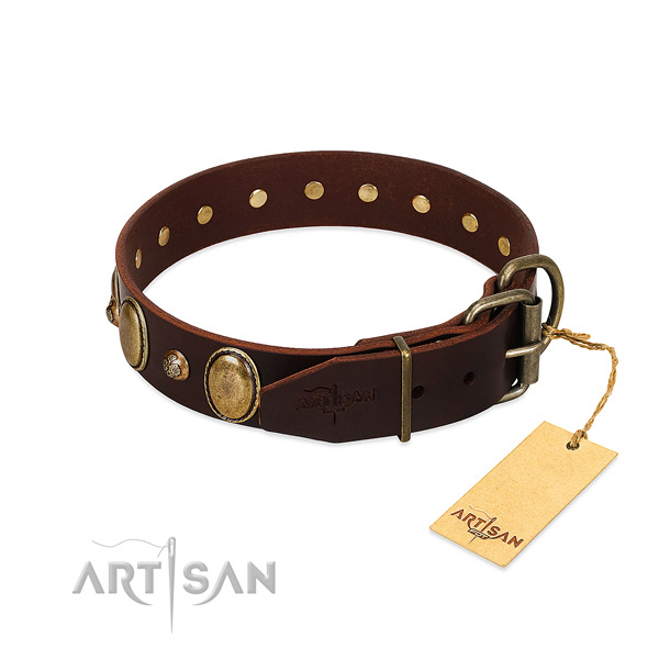 Strong buckle on leather collar for daily walking your dog