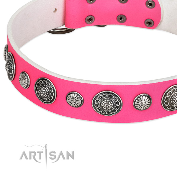 Natural leather collar with rust-proof hardware for your stylish canine