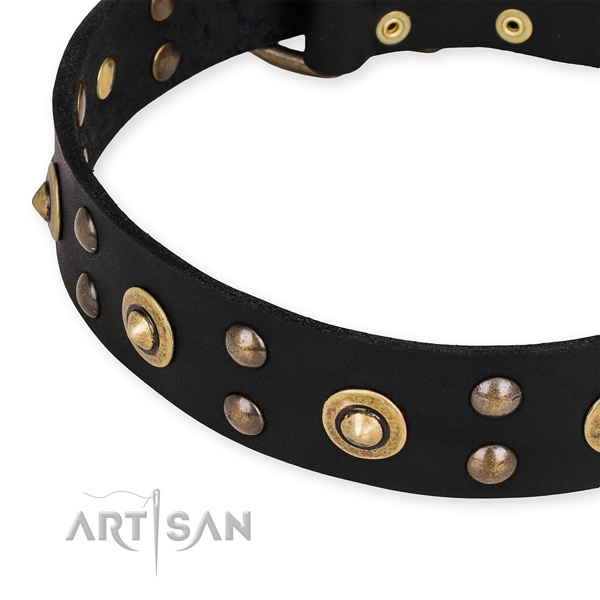 Genuine leather collar with durable fittings for your impressive dog