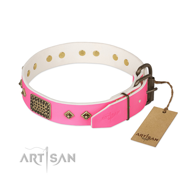 Rust-proof adornments on everyday use dog collar