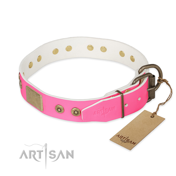 Durable fittings on stylish walking dog collar