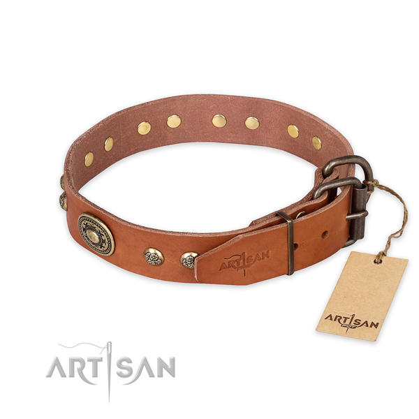 Reliable buckle on genuine leather collar for everyday walking your pet