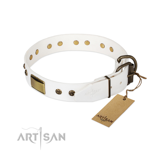 Full grain natural leather dog collar with durable traditional buckle and adornments