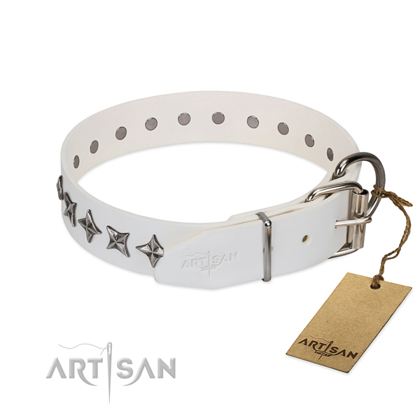 Strong full grain genuine leather dog collar with top notch adornments