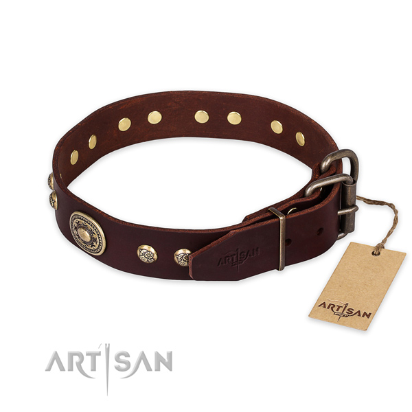 Corrosion proof traditional buckle on natural leather collar for fancy walking your dog