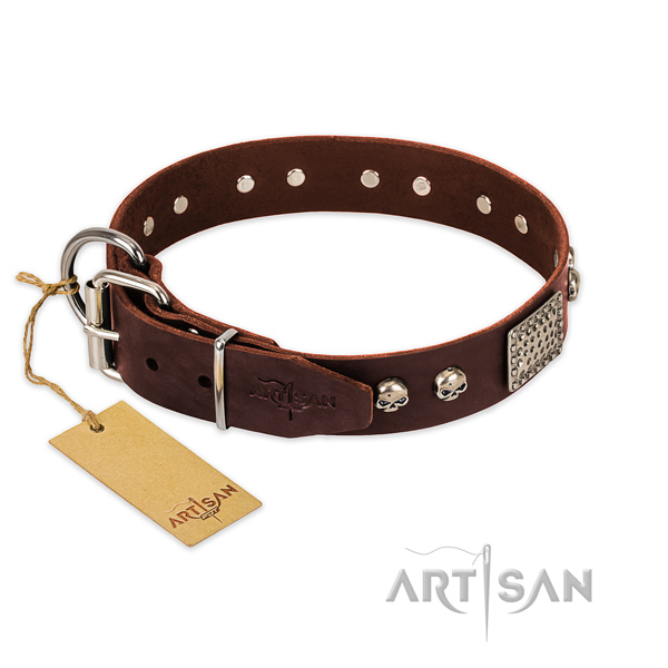 Durable D-ring on everyday use dog collar
