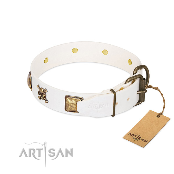 Stunning full grain natural leather dog collar with rust-proof embellishments