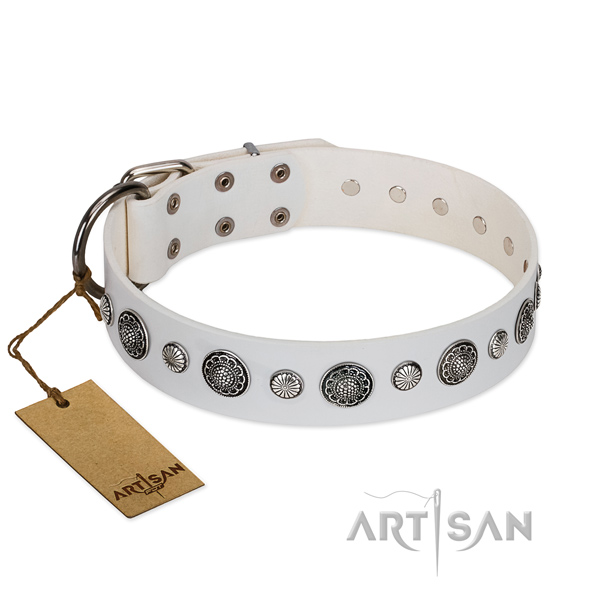 High quality full grain leather dog collar with corrosion proof hardware