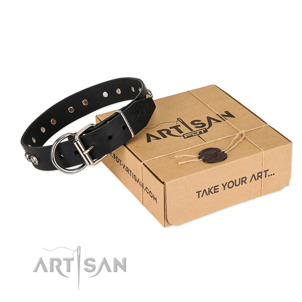 Corrosion proof fittings on dog collar for everyday walking