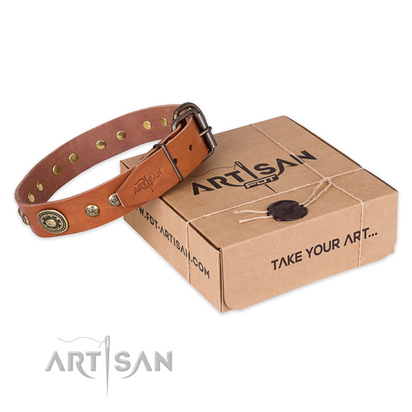 Rust resistant D-ring on leather dog collar for everyday walking