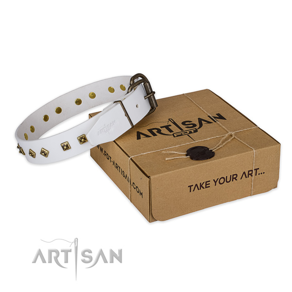 Rust resistant hardware on full grain natural leather dog collar for comfy wearing