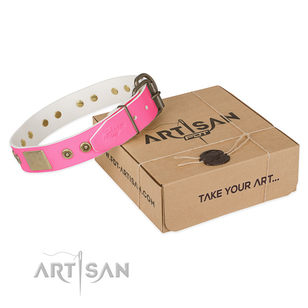 Reliable traditional buckle on dog collar for comfy wearing